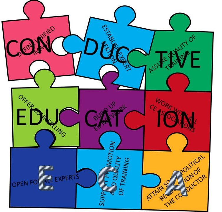 Drawn puzzle. Each piece in different color showing the several tasks which come together as one ECA picture.